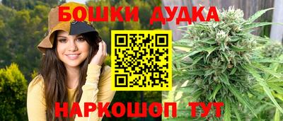 МДПВ Лесосибирск