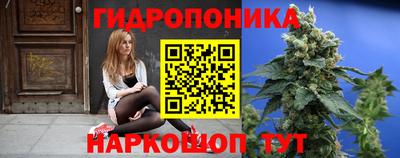 МДПВ Лесосибирск